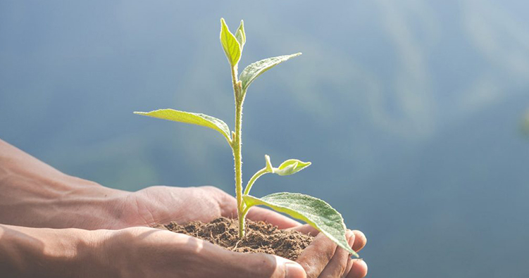 Responsabilité environnementale